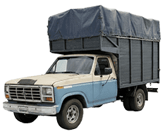 Miniatura Ford 100